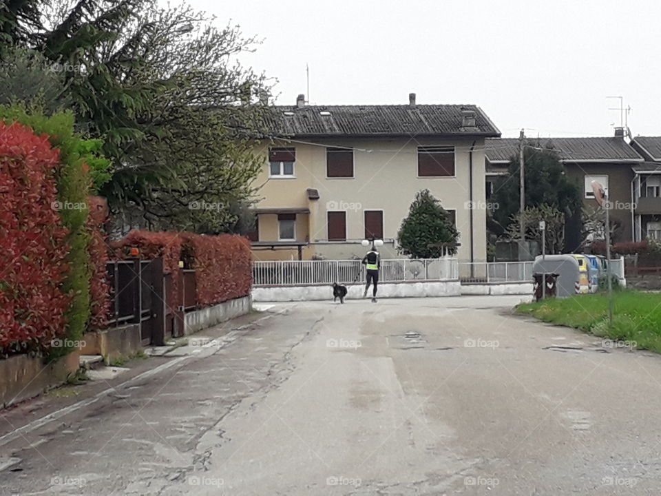 Spring walk with the dog