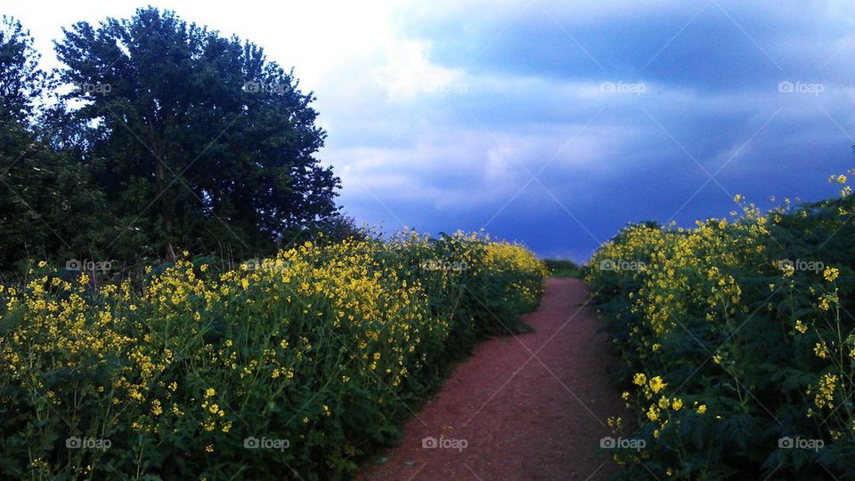 path