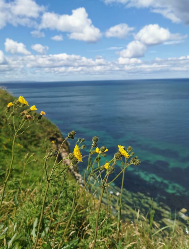 Flamborough Head