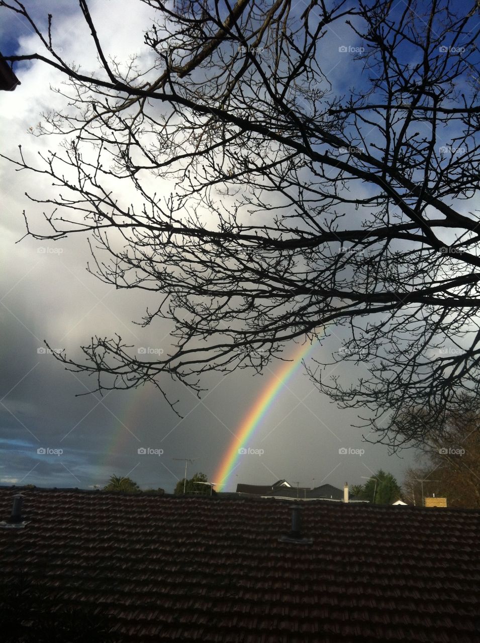 Rainbow overhead