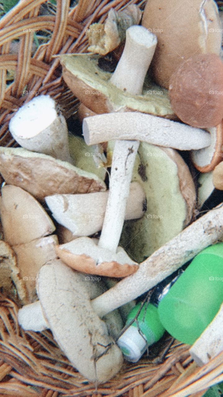Mushroom basket