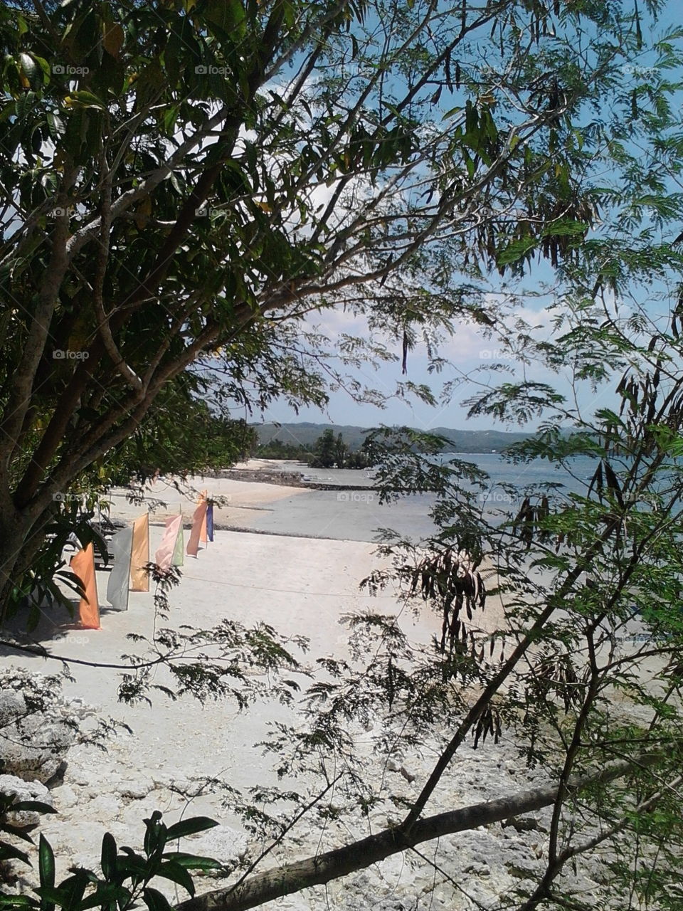 view of the beach sorrounded with trees