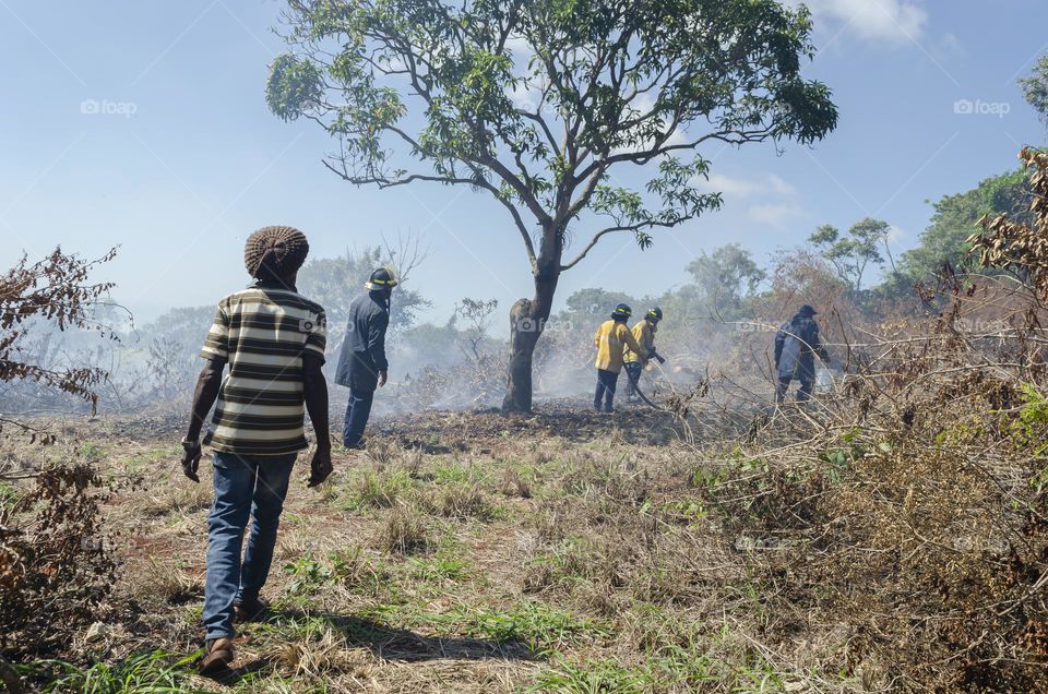 Cooling Bush Fire