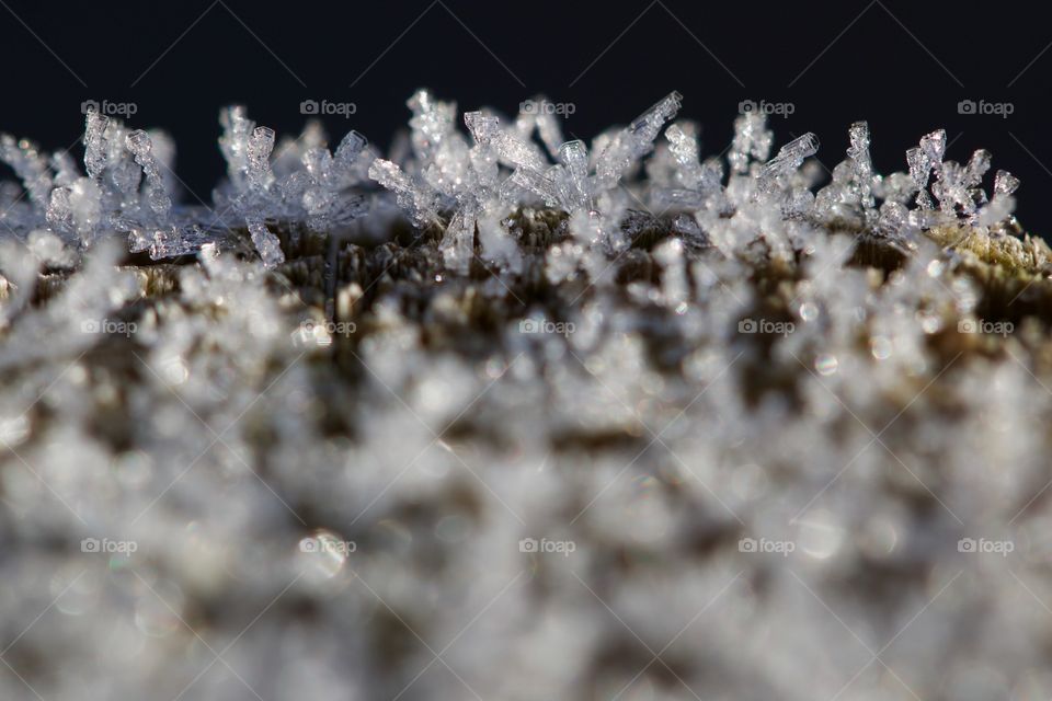 Close-up of frozen water crystals