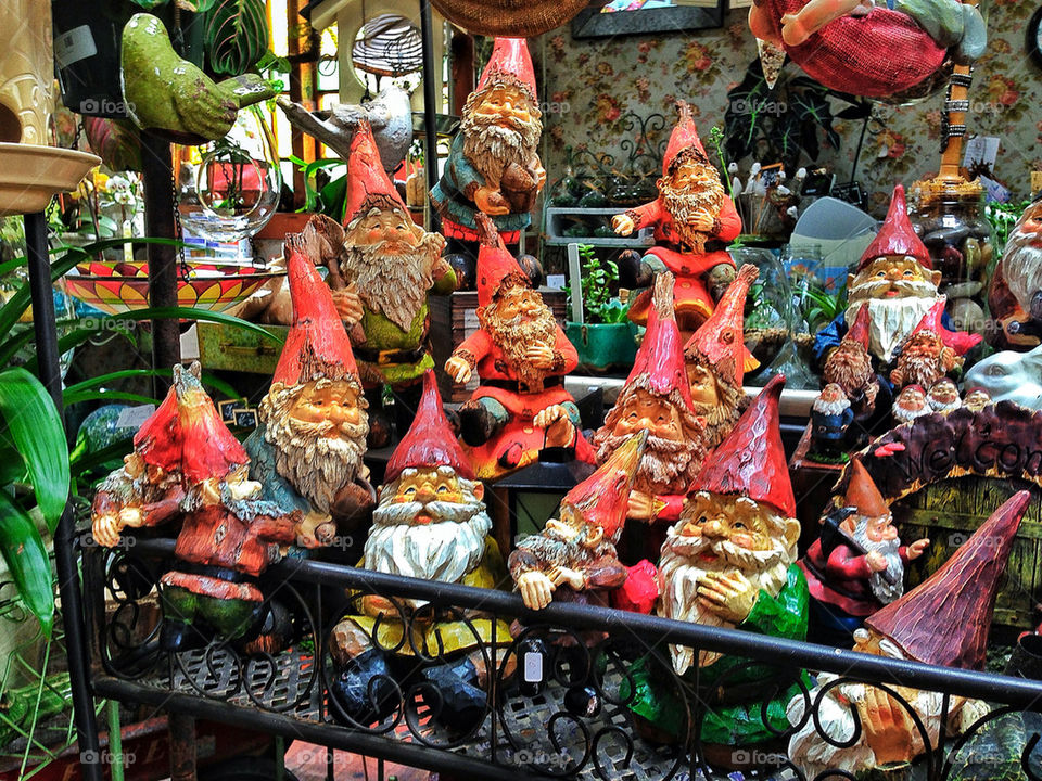 Colorful collection of garden gnomes