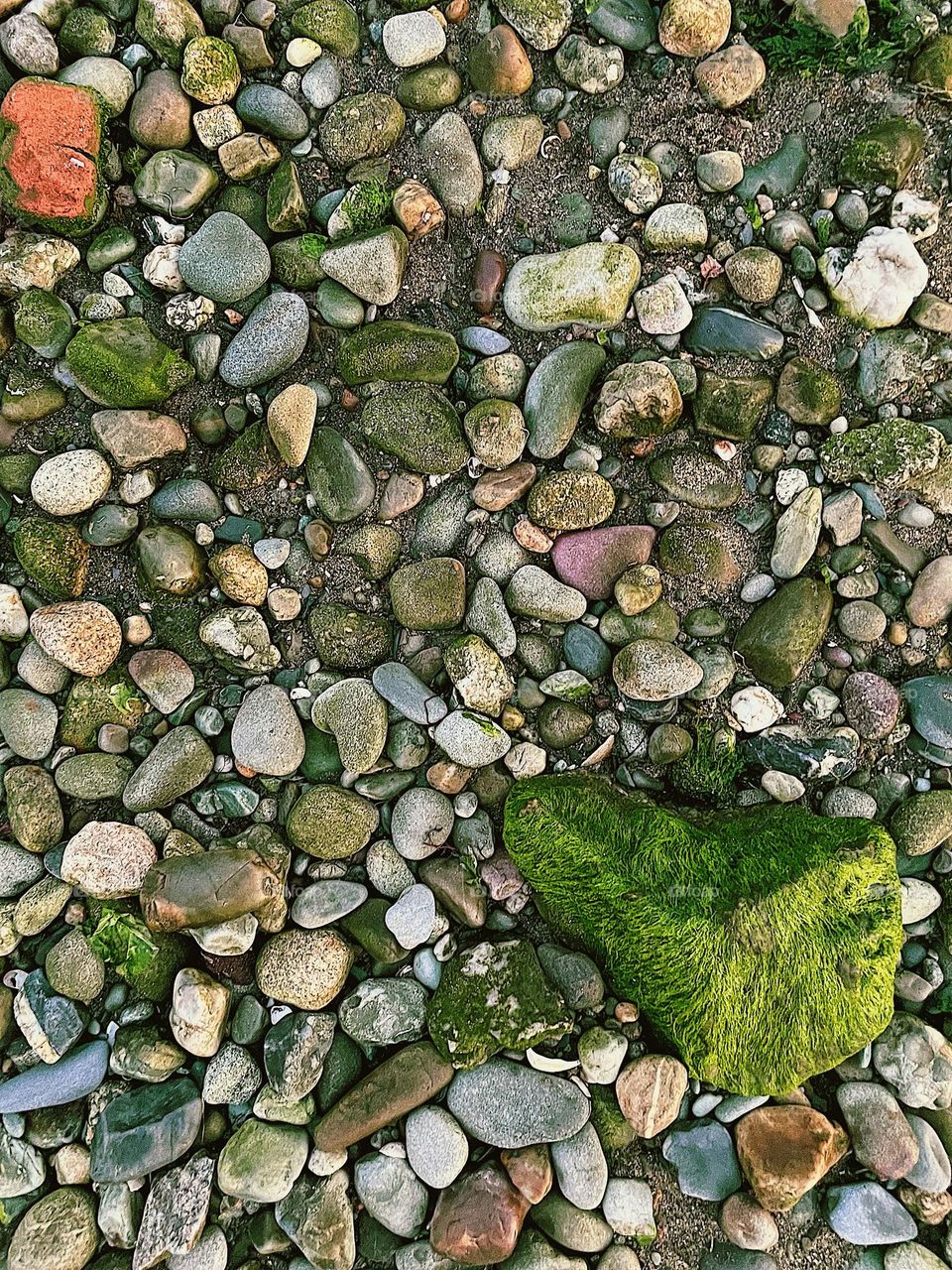 Stones on the beach, walking on the beach, colorful rocks by the ocean, Rhode Island beaches