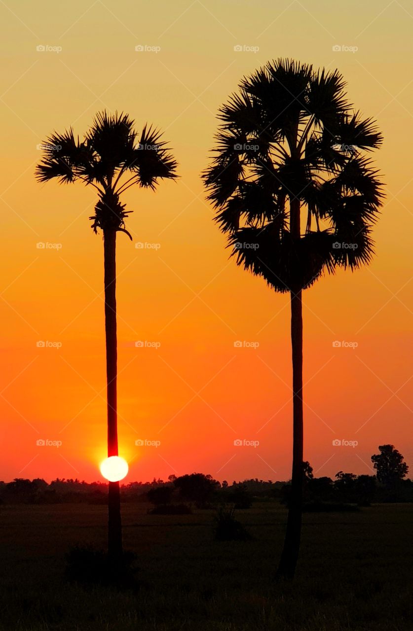 Don't leave me alone...