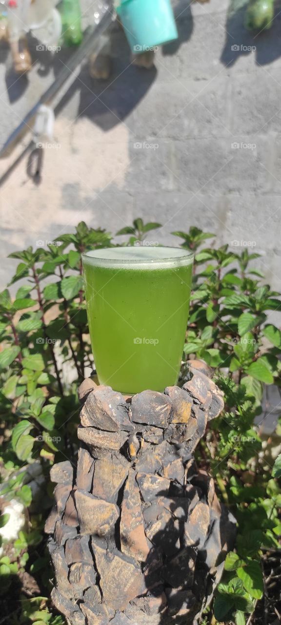 Lemon with green mint