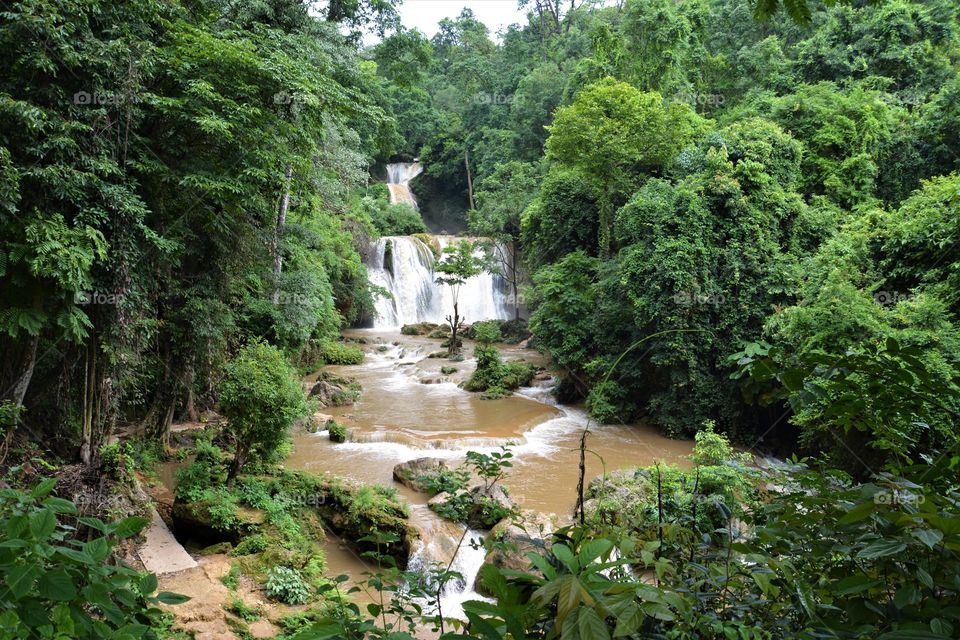 Evergreen forest with waterfall