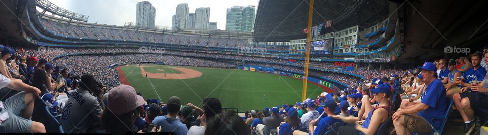 Toronto blue jays baseball