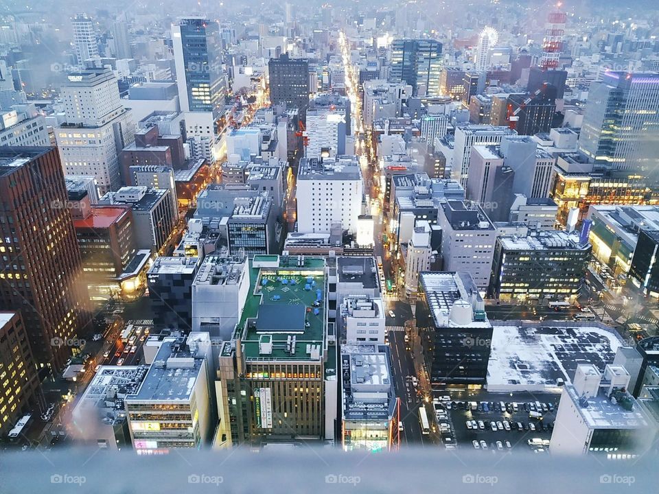 Sapporo Sky View