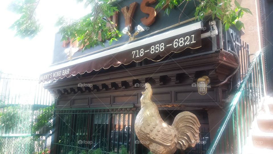 The Brooklyn Cock