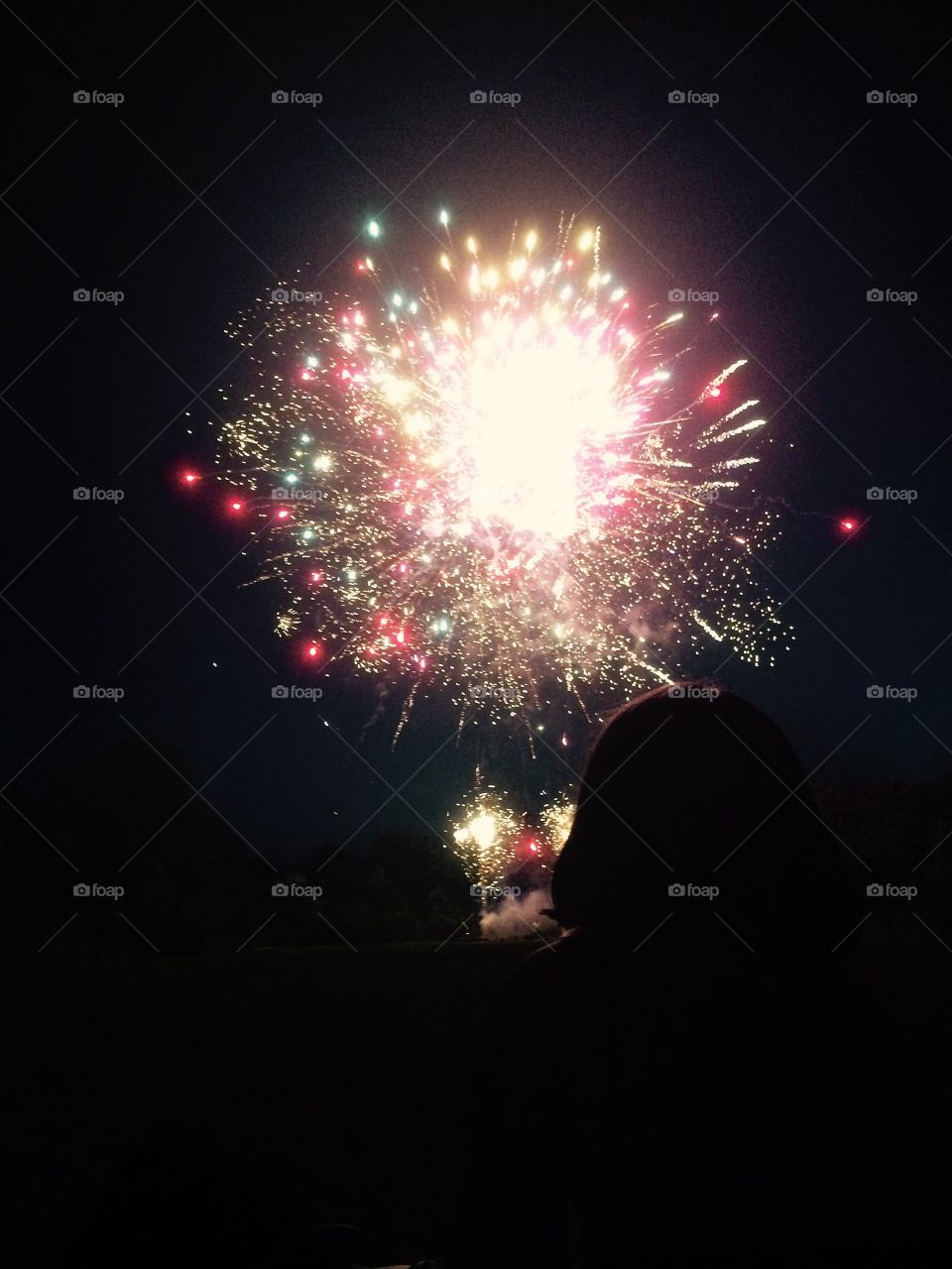 Fireworks
