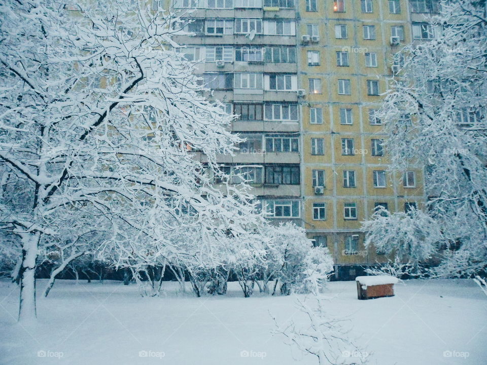 winter in the city of Kiev, Ukraine