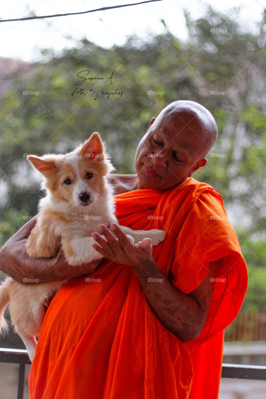 how much do you like this photo