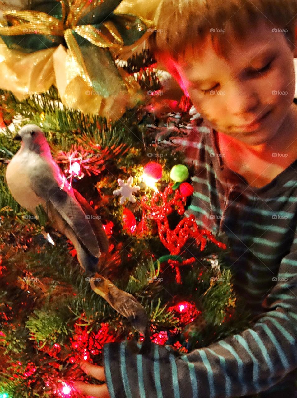 Joyful Boy Hugging His Christmas Tree
