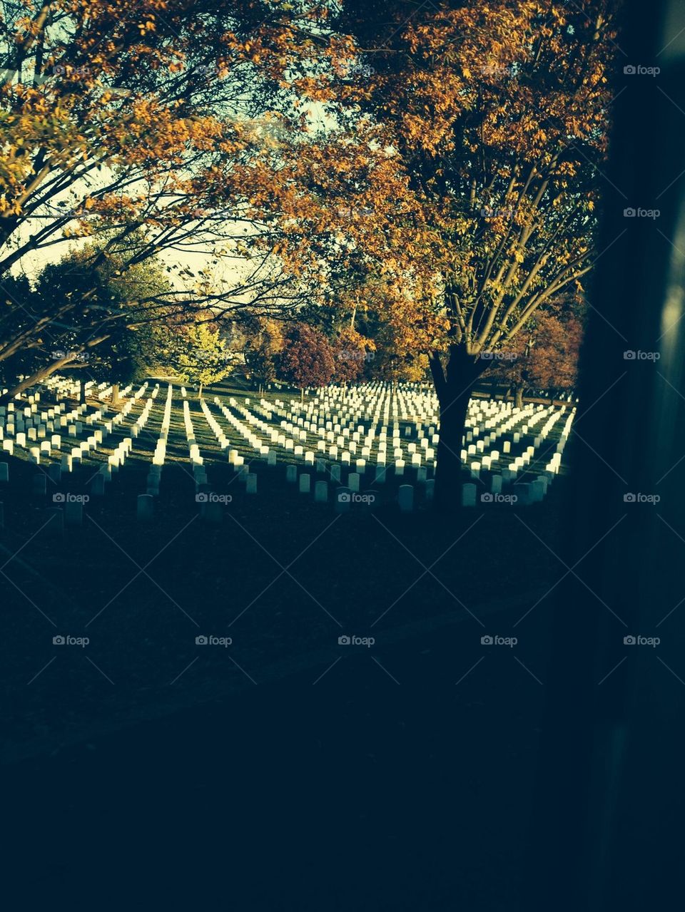 Arlington cemetery 