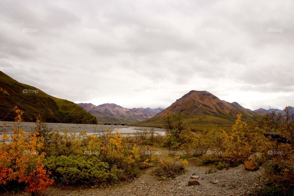 Denali national park