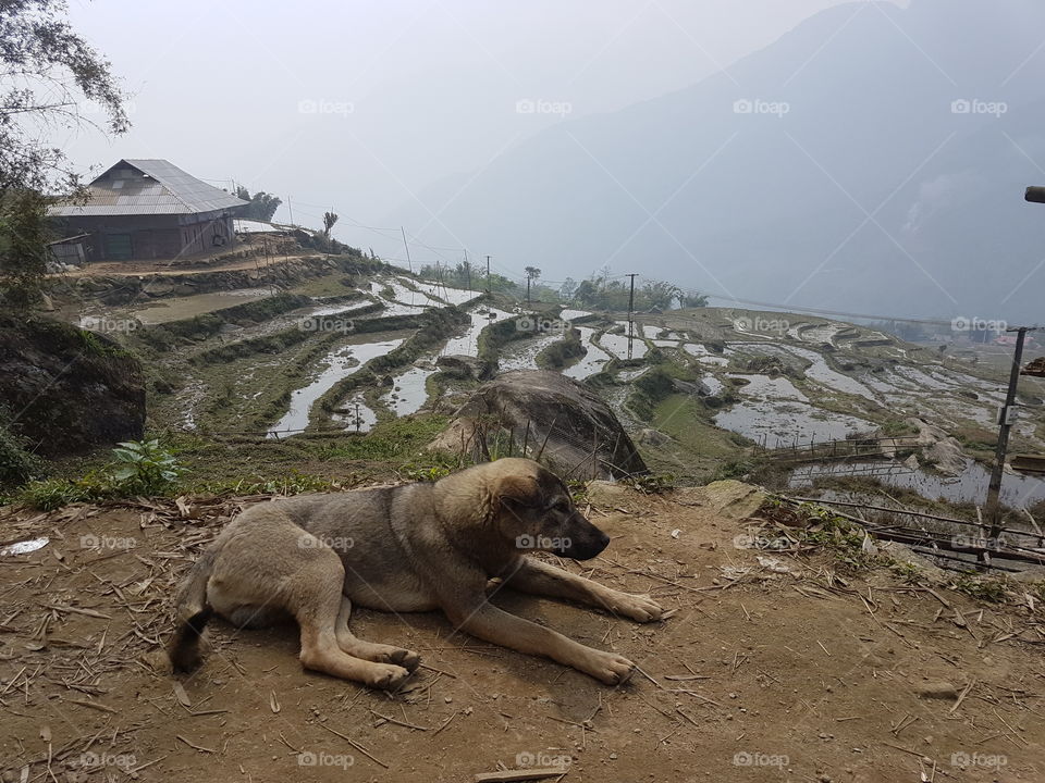 trekking in Sapa, Vietnam