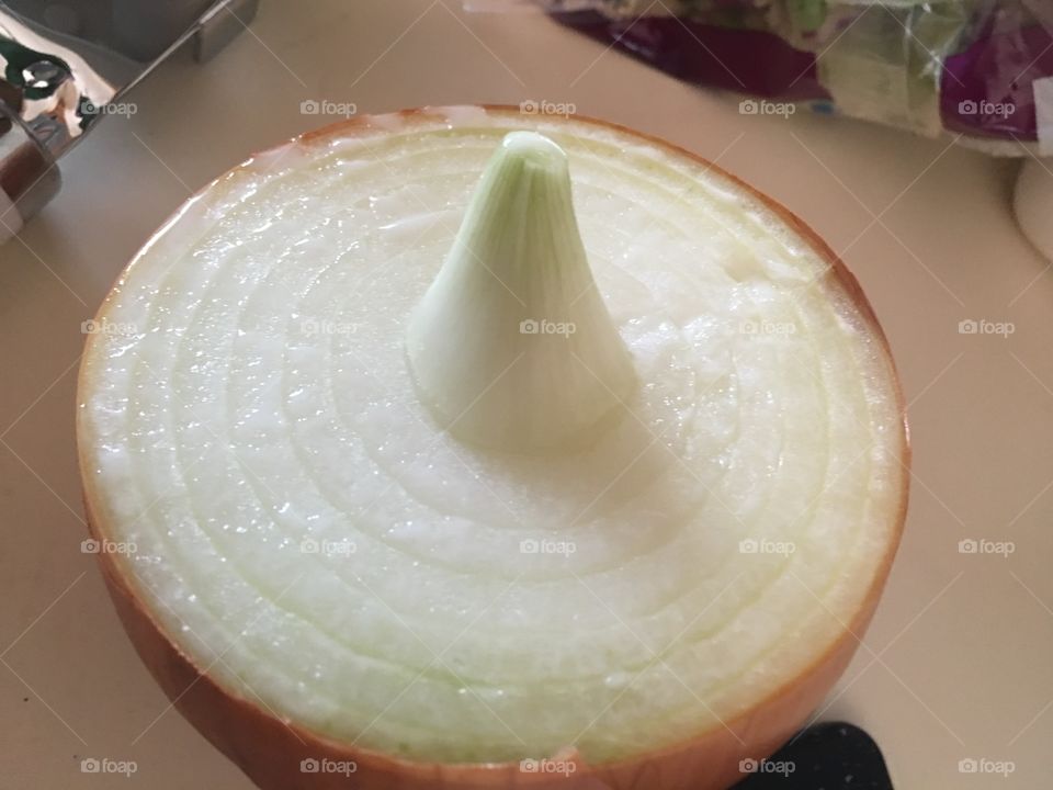 Onion art