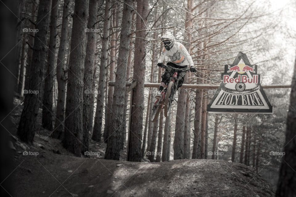 Wood, Tree, People, Winter, Man