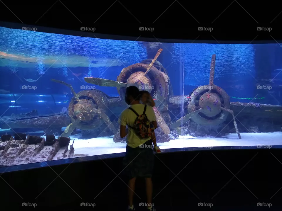 aquarium