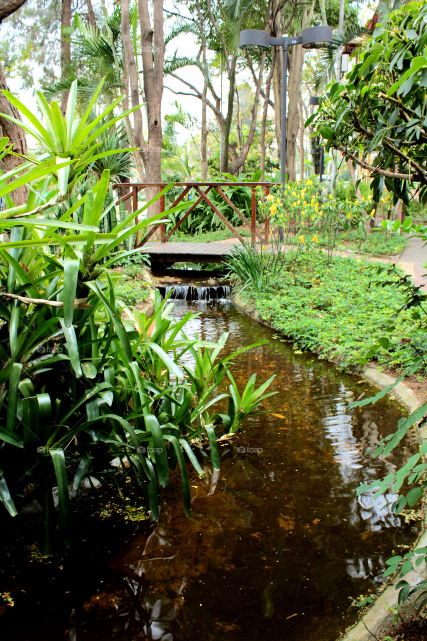 Bridge in the garden