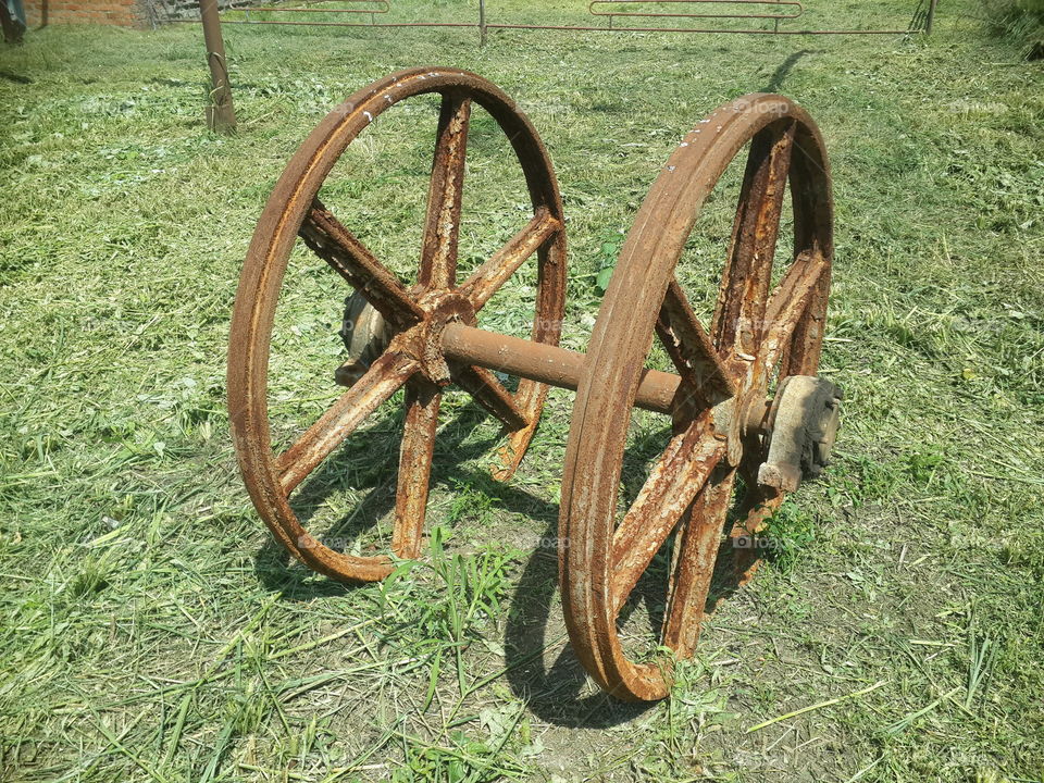 old metal wheel on the grass