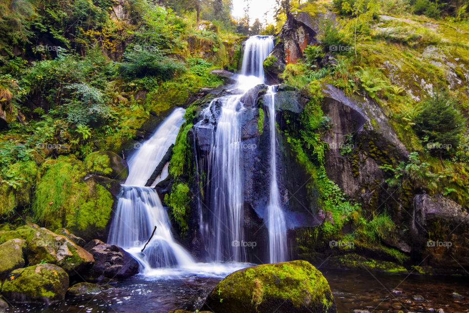 Scenic view of waterfall