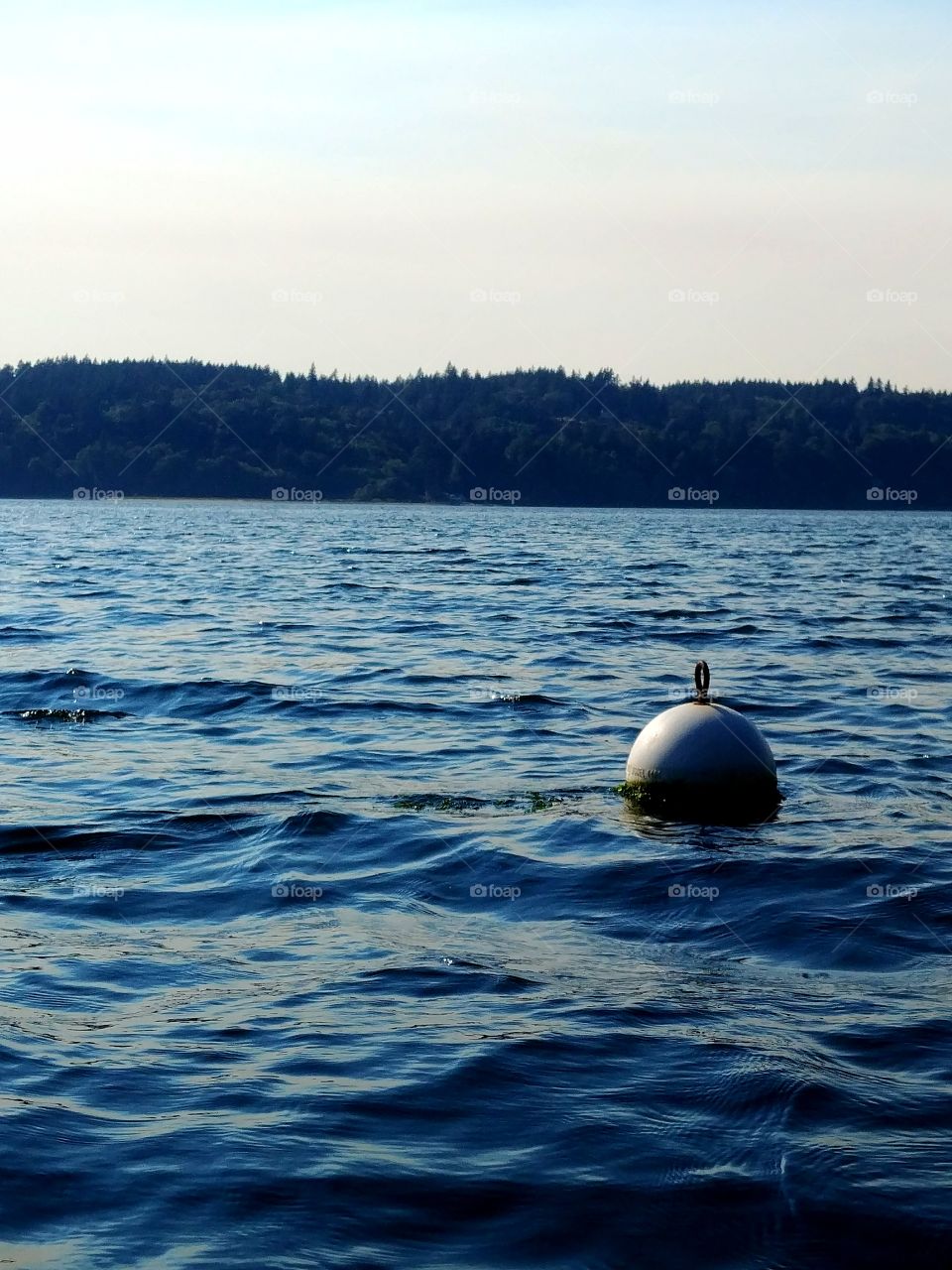 Buoy bouncing beautifully in a brash and brazen way through brackish blue water.