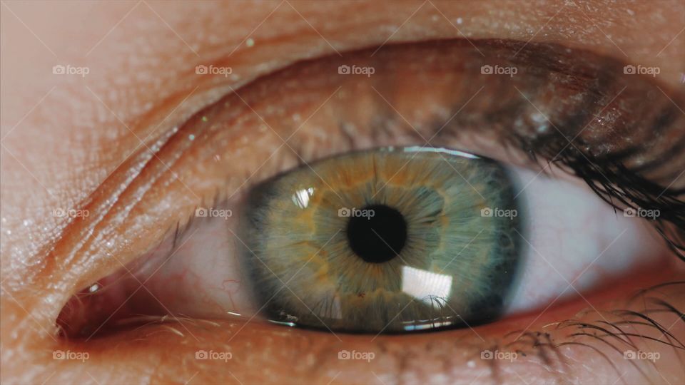 Macro eye 