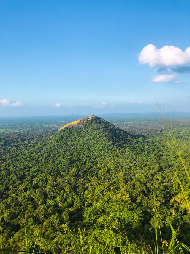 greenery mountain