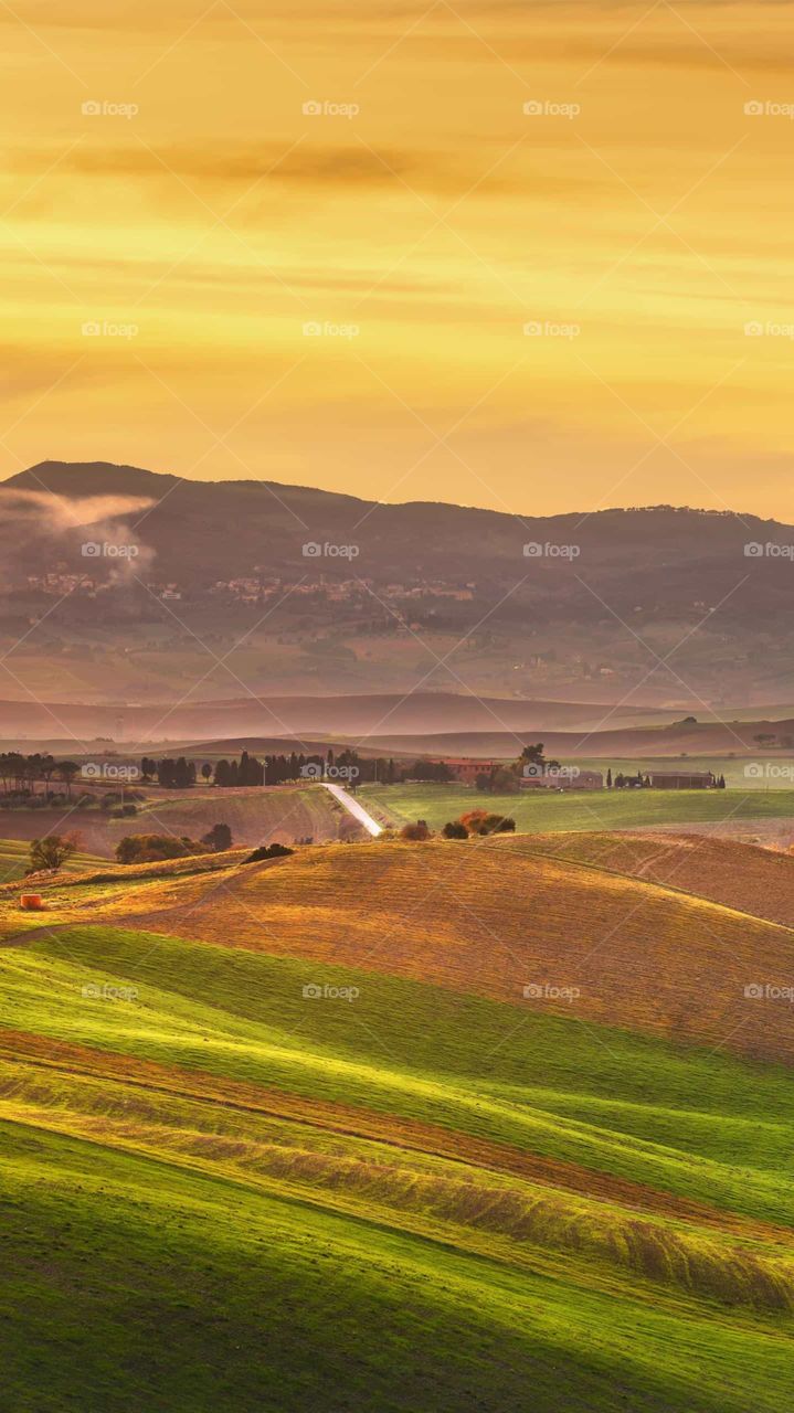 I am back to Village