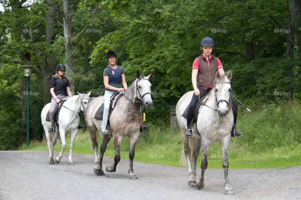 Summer with horses. Horse riding in the summer