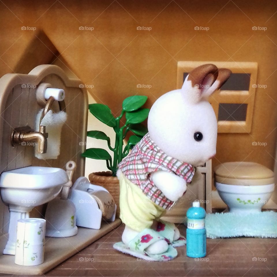 Rabbit toy cleaning toilet