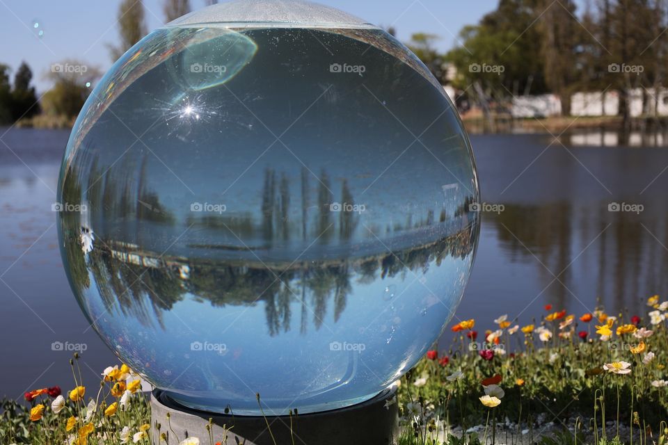 Water filled globe