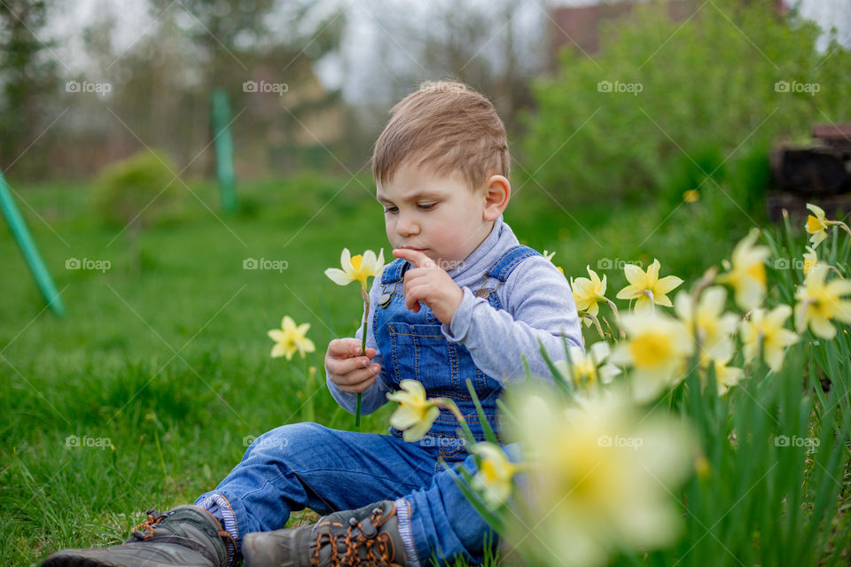 first flowers in the garden