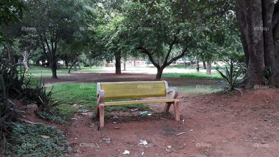 bench