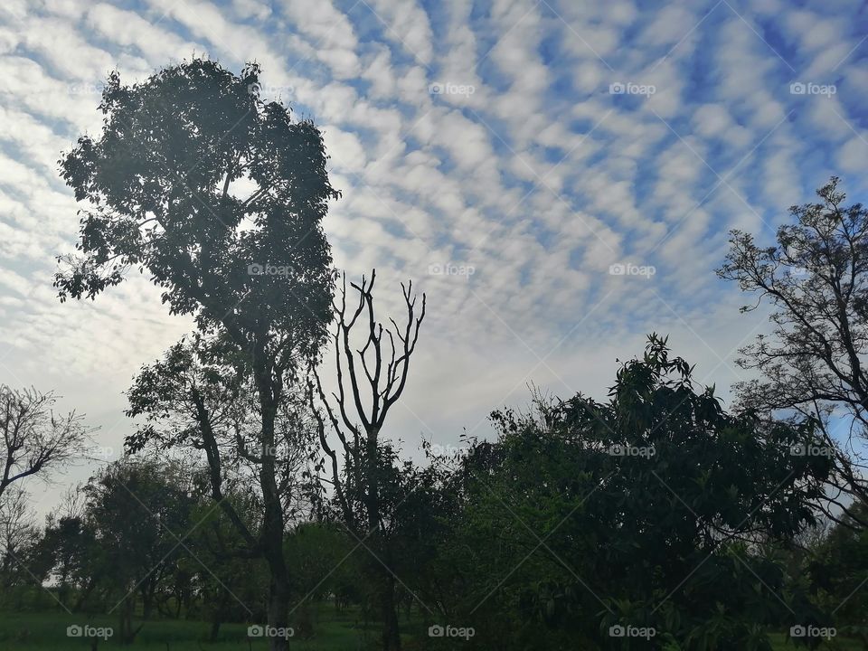 Beautiful Nature view with sky blue and clouds on background.
concept of peace and lonely.