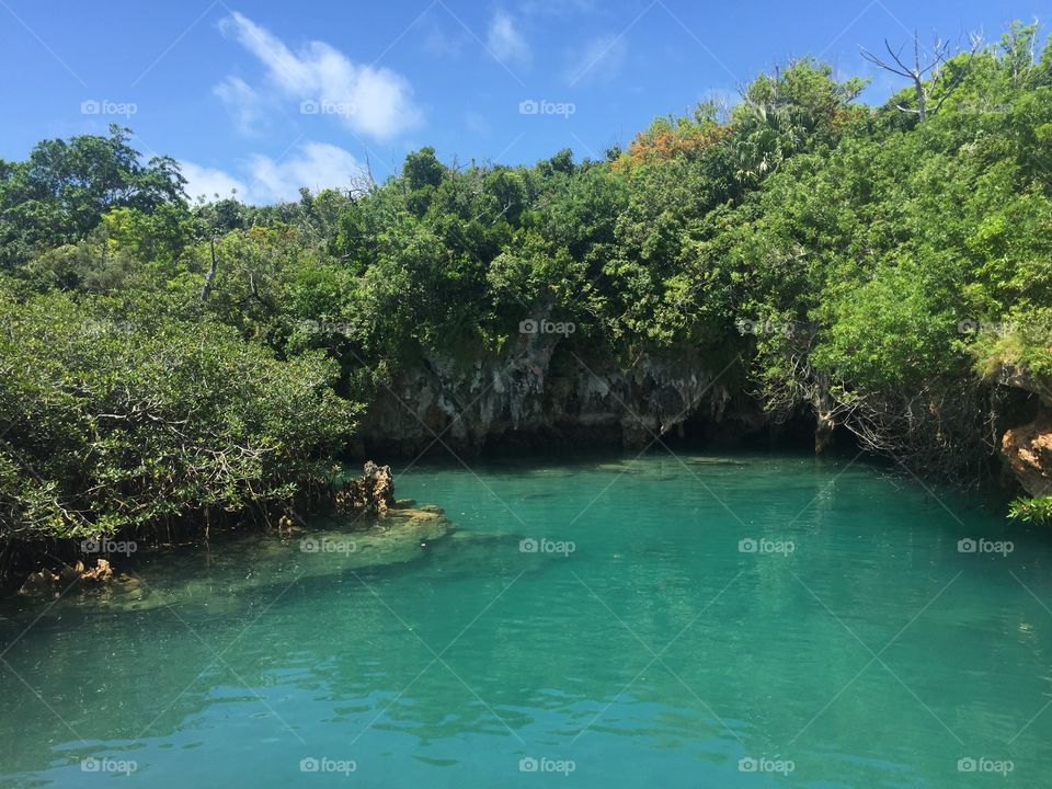Picture was taken at a lagoon in Bermuda