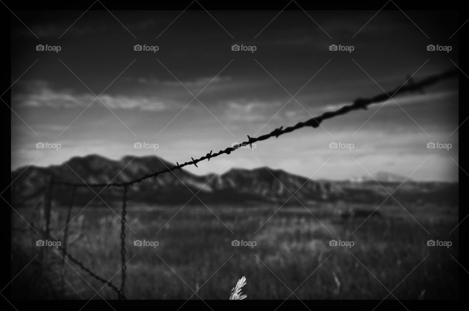 Black and white image of barbed wire around ranch in Colorado with Rocky Mountains in background