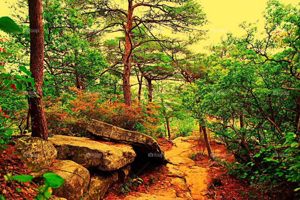 Trail in mountains in the Fall