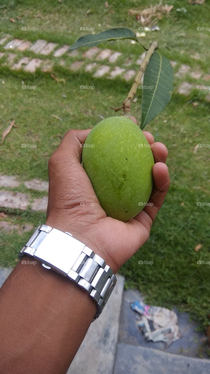 Raw mango