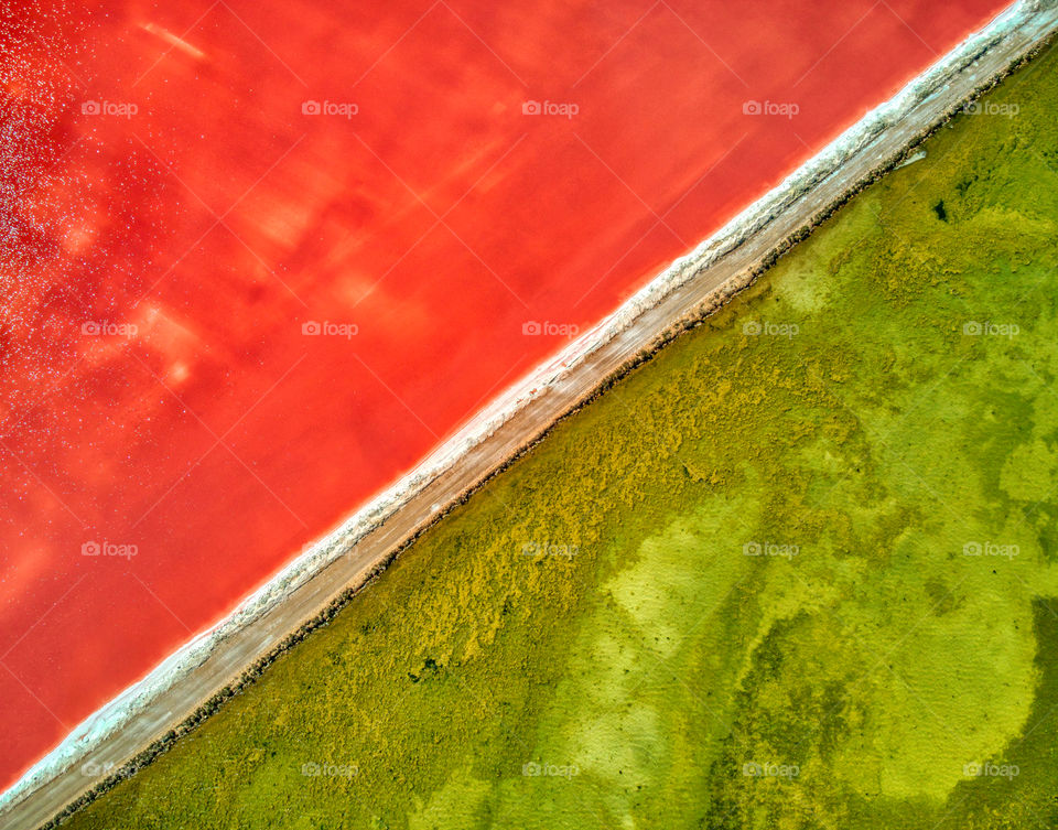 Pink lake meets mangrove swamp