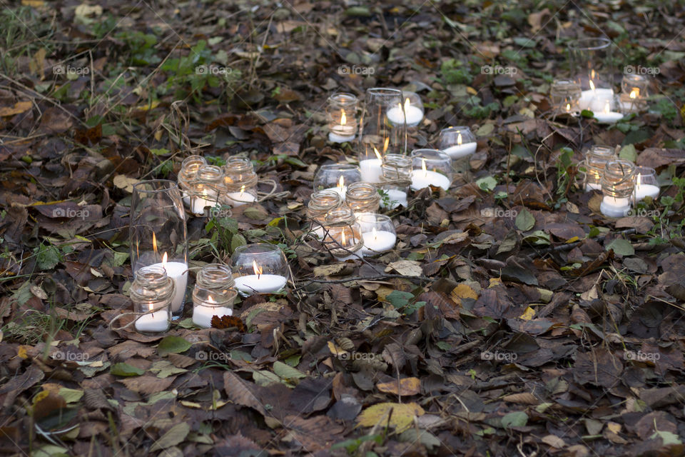 candles in a forest