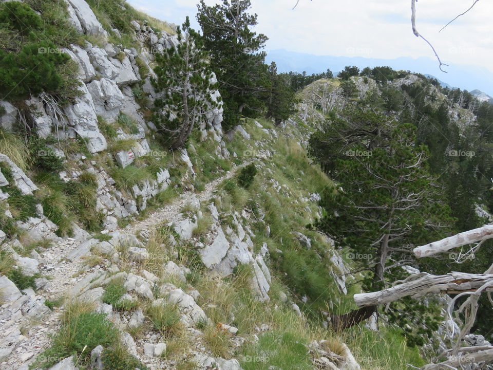 Narrow hiking dirt trail passes near steem mountain slope
