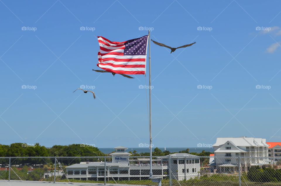 American flag waving in the wind from a flagpole with a blue sky background and flying seagulls