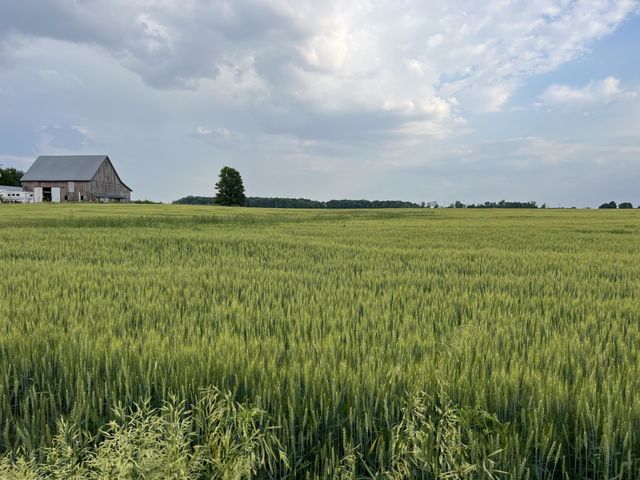 Country Life