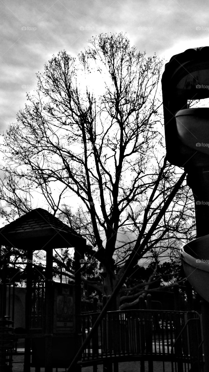 Playhouse with slide