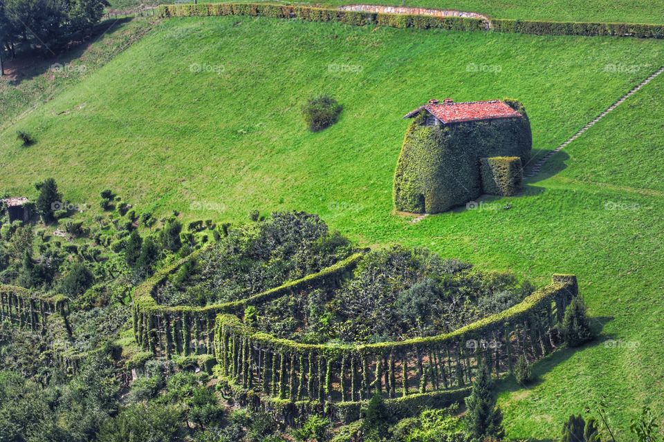 Green garden on a mountain slope